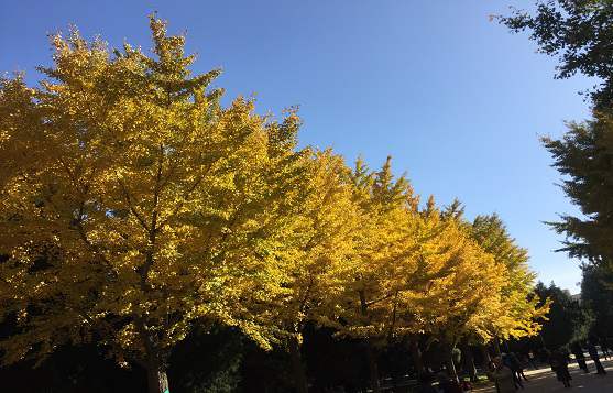 北京公司注冊(cè)需要找哪些專業(yè)機(jī)構(gòu)幫助？